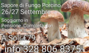 sagra del Fungo 2026